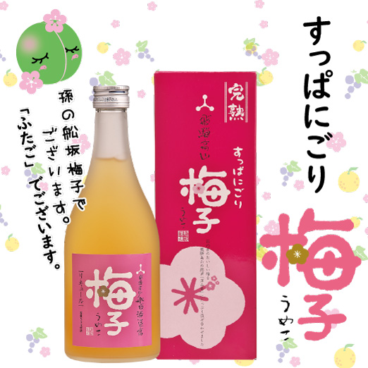 梅酒　すっぱにごり梅子500ml